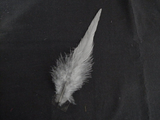 羽 キャラ尾 グレイ 10本 フェザー 羽 アクセサリー  羽 手芸  アクセサリ 羽 髪飾り 羽 手芸 羽 ビーズ 羽 帽子飾り