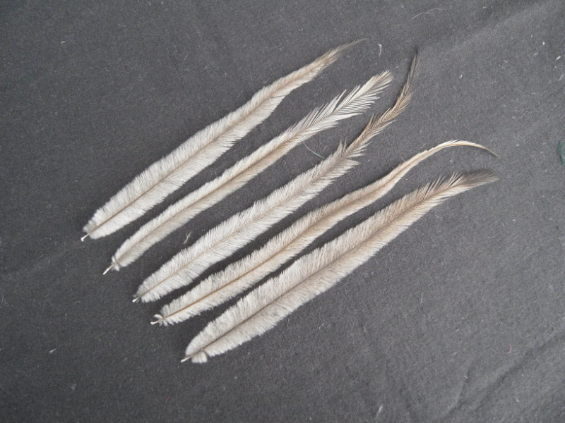 エミュー 10本 装飾用羽根　羽 イヤリング  羽 ブローチ  羽 ビーズ