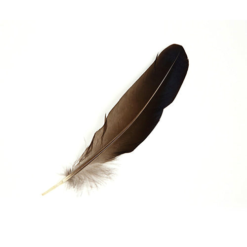 ギンケイ手羽 大 ナチュラル(色なし) 3本 14-18cm 濃紺<br>【装飾用の羽根】【アクセサリー フェザー パーツ 羽 手芸 アクセサリ しゅげい】