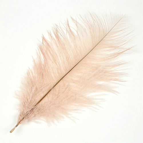 オーストリッチ小 15-25cm （ピンク）(2本 set) この羽根はディスプレイ、アクセサリー、ヘットドレス等に使用されてます。