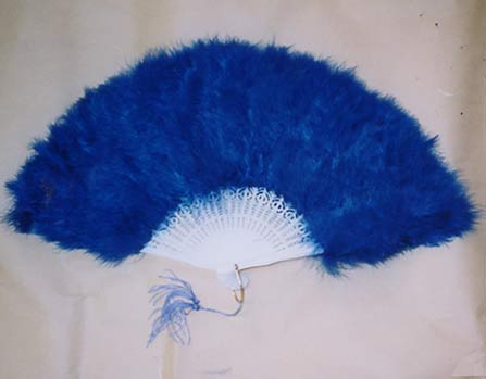 feather-007